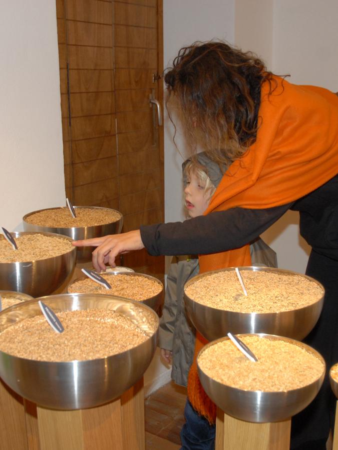 MUSEO DELLA SEGALE - VALDIERI